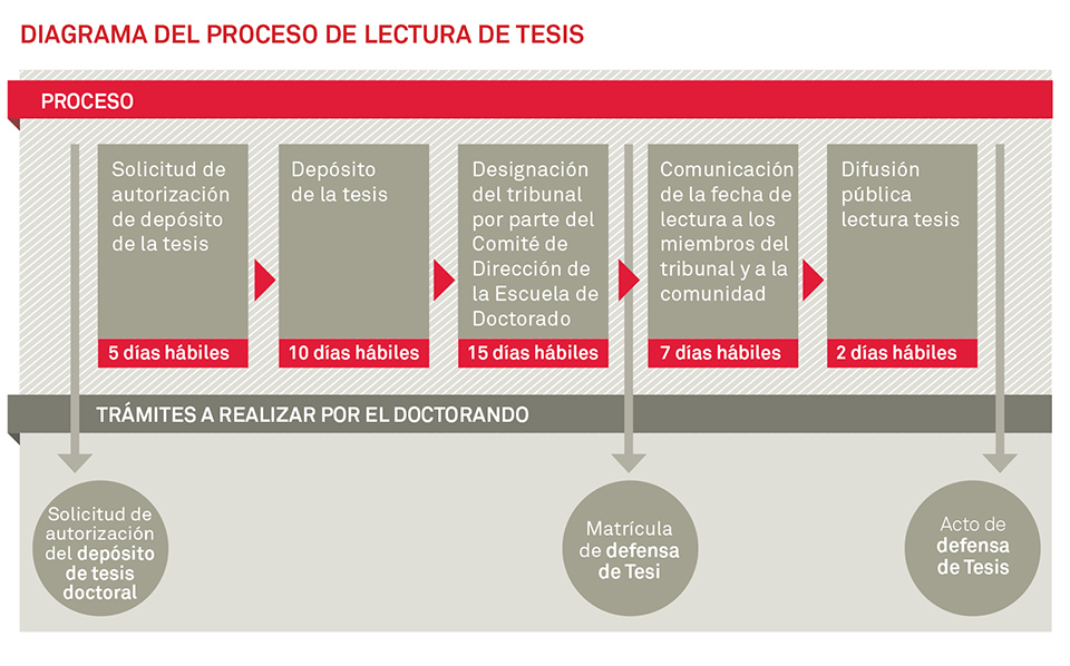 Proceso De Lectura De La Tesis Uvic